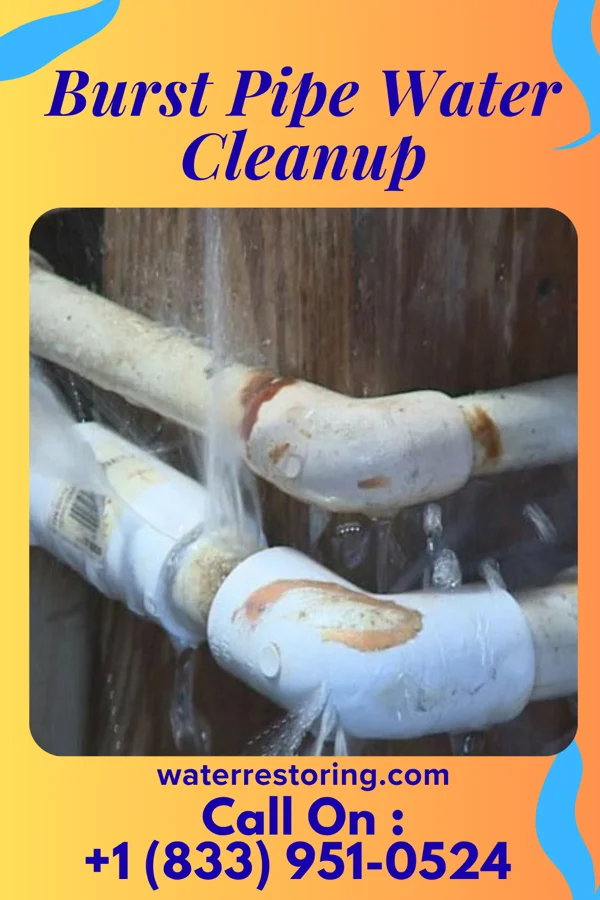 Burst Pipe Water Cleanup in Mooresville, MO