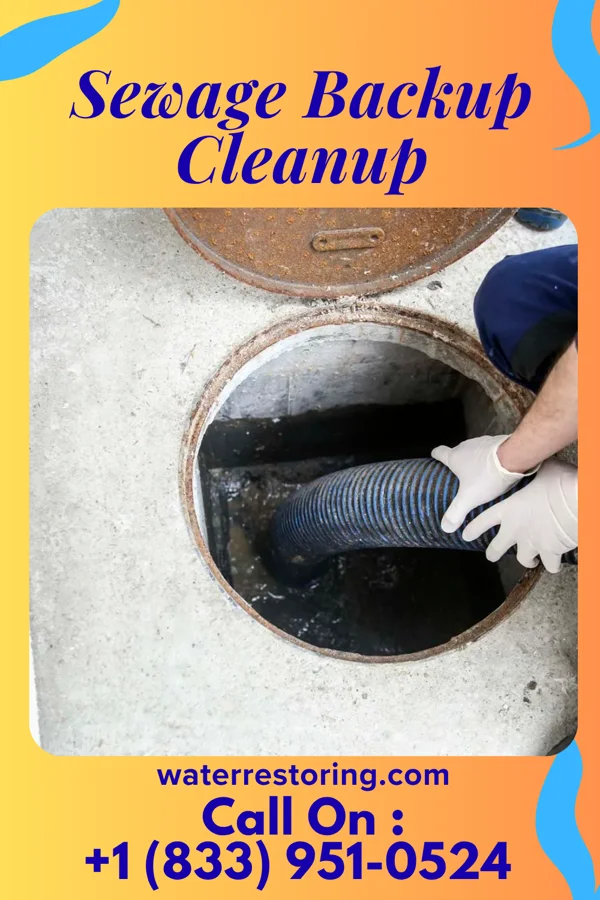 Sewage Backup Cleanup in Mooresville, MO