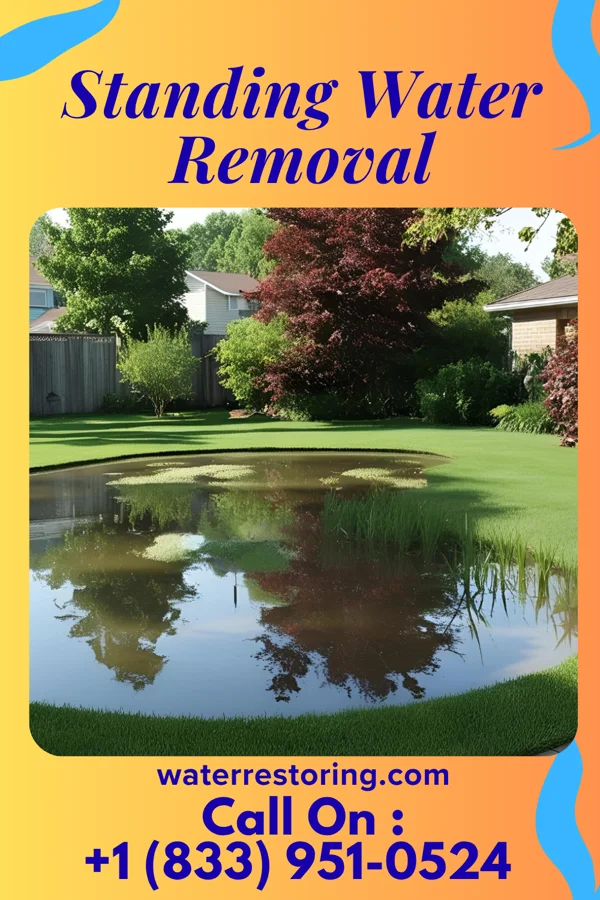Standing Water Removal in Mooresville, MO